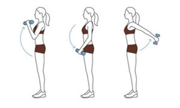 Hướng dẫn giảm mỡ bắp tay hiệu quả qua 6 bài tập Thể Hình Channel