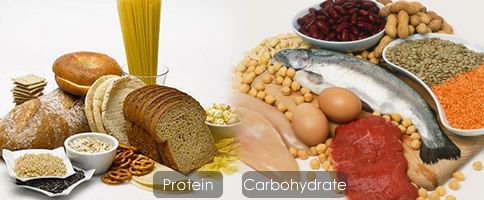 Protein vs Carbs
