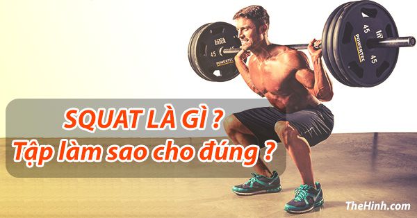 Squat là gì Squat là gì. Tập Squat có bị lùn không ?