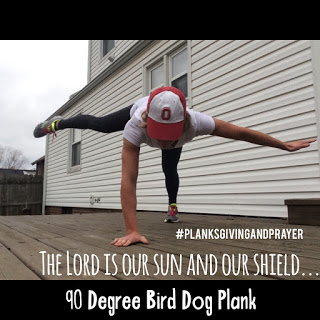 Tập Bài 90-Degree Bird Dog Plank