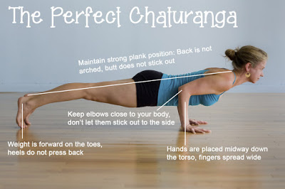 Bài Chaturanga Plank