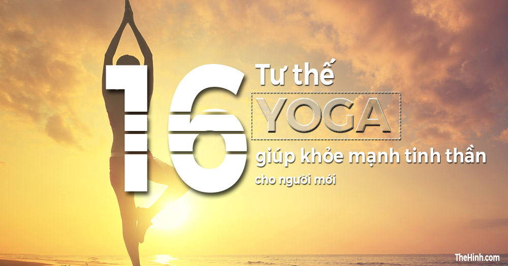 16 tư thế Yoga cơ bản để tăng cường sức khỏe