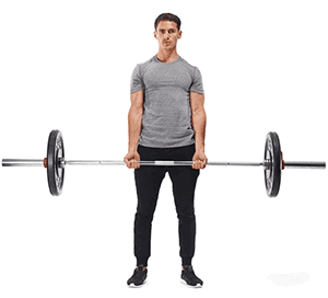 Barbell curl