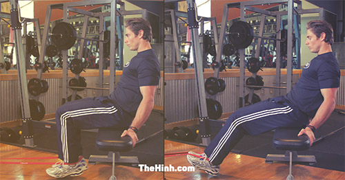 Seated Band Hamstring Curl