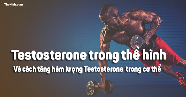 Testosterone là gì, làm sao để tăng lượng Testosterone