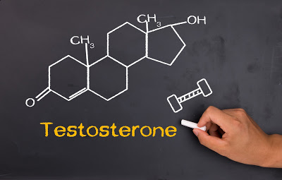 Testosterone là gì. Tập thể hình sao cần phải quan tâm ?
