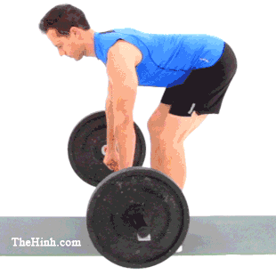 Bent Over Barbell Row