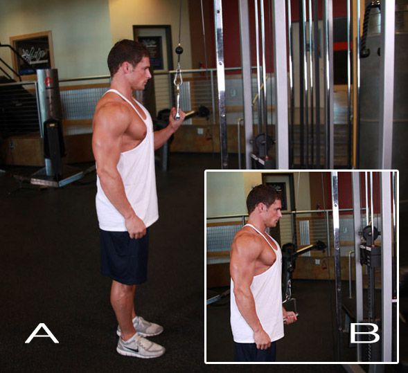 Cable One Arm Tricep Extension