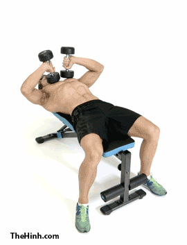 Tate Press Dumbbell Tricep