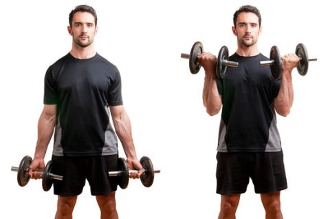 Dumbbell-Bicep-Curl
