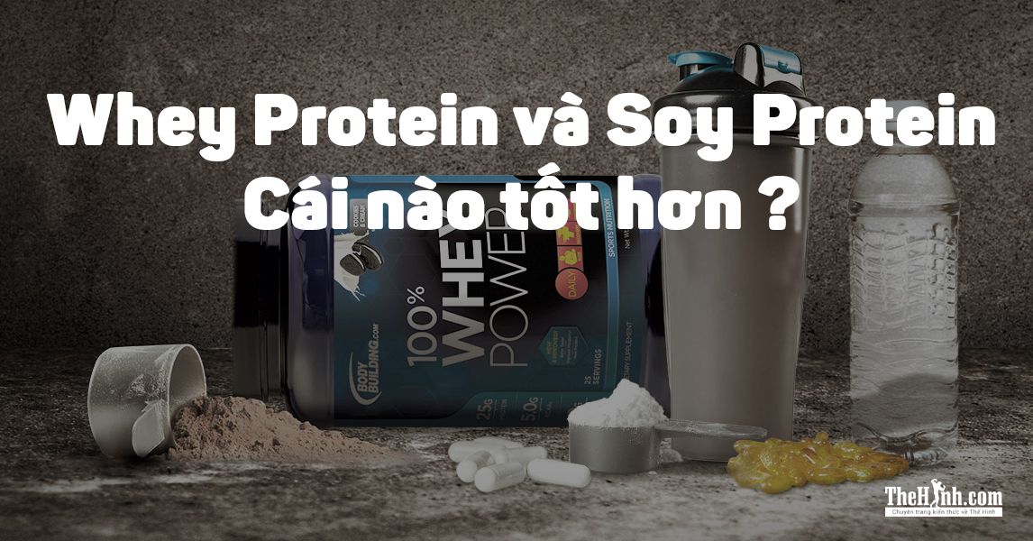So sánh giữa Whey Protein và Soy Protein (đạm đậu nành)