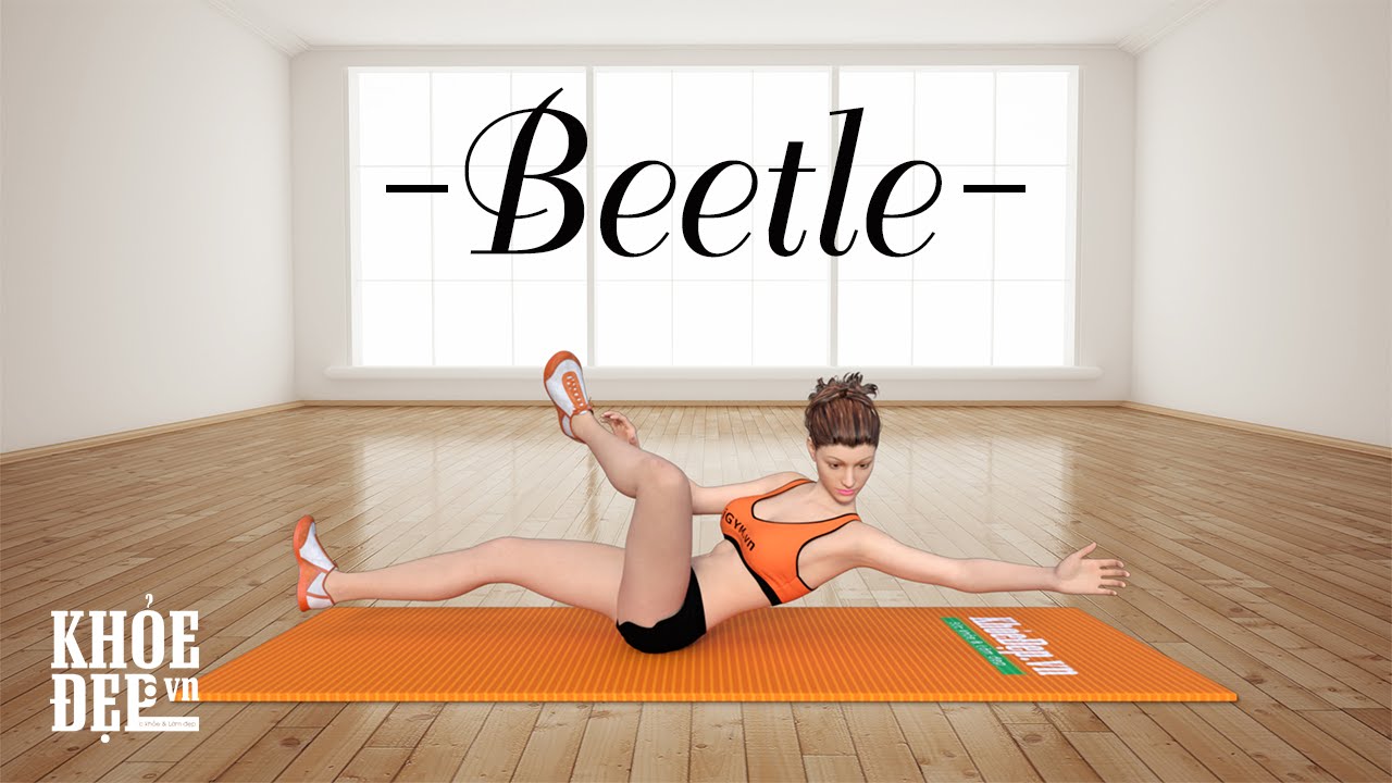 Cách giảm mỡ bụng nhanh với bài tập bụng Beetle