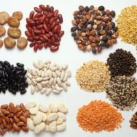 Protein thực vật có rất nhiều trong các loại đậu Protein thực vật có rất nhiều trong các loại đậu