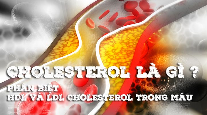 Cholesterol là gì ?