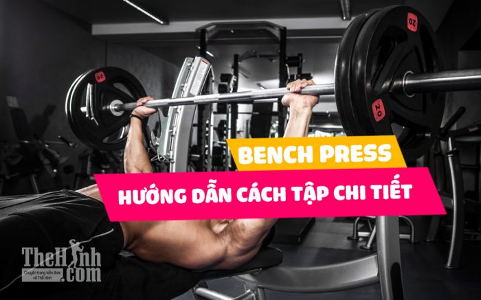 Bench press - Chi tiết cách tăng vòng 1 cho nam tự nhiên hiệu quả nhất