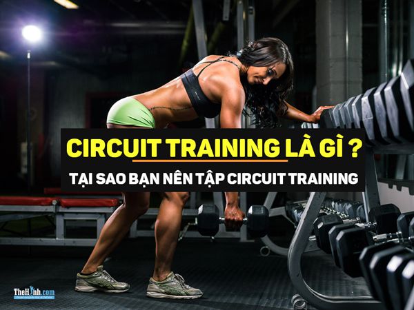 Circuit Training là gì ? Tại sao nên tập Circuit Training ngay hôm nay ?