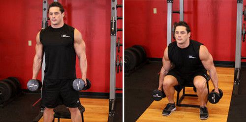 Dumbbell Squat to Bench