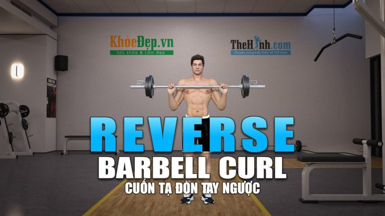 Reverse Barbell Curl – Tập tay trước với bài cuốn tạ ngược tay
