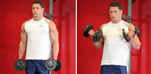Dumbbell Bricep Curl