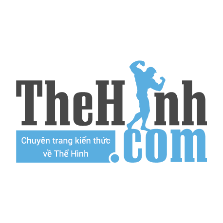 Logo The Hinh Channel