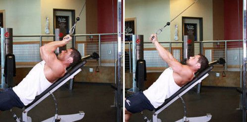 Cable Incline Triceps Extension