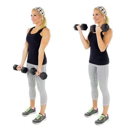 Dumbbell Bicep curls