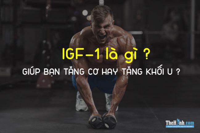 IGF-1 là gì ? Sự liên quan giữa IGF-1 và ung thư bạn cần phải biết