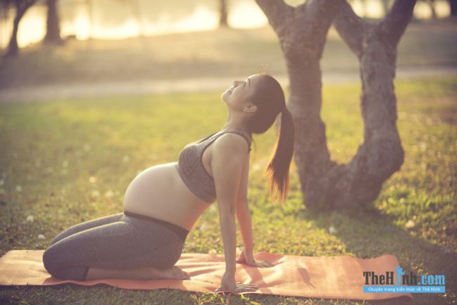 Yoga cho bà bầu 3 tháng giữa - Lớp yoga cho bà bầu