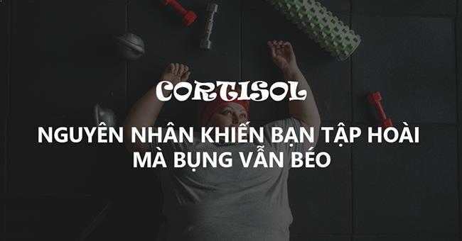 Cortisol và nguyên nhân gây béo bụng mà chúng ta không ngờ tới