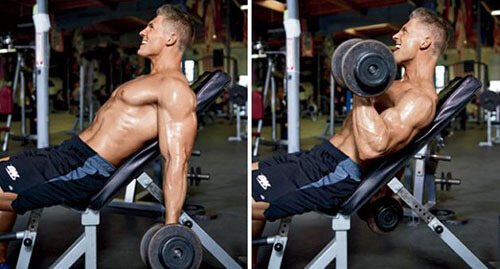 Incline Dumbbell Bicep Curl (1)