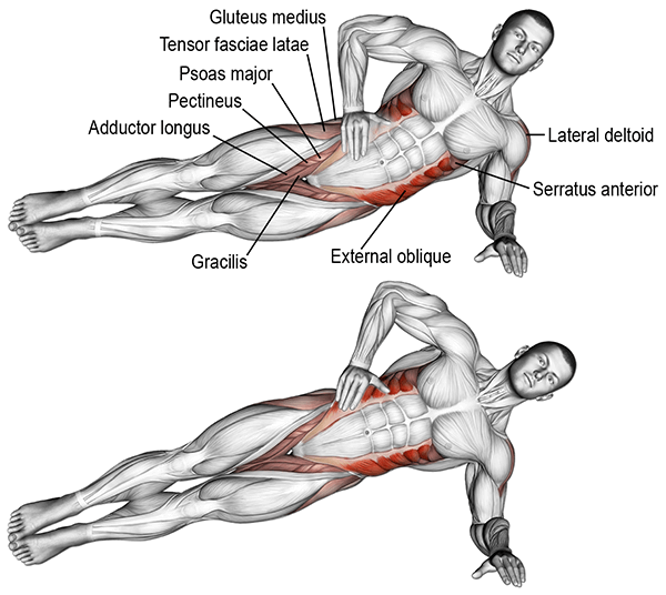 Side Plank Hip Lifts