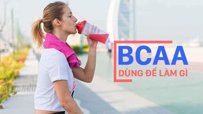 BCAA dùng để làm gì ? 5 Công dụng tuyệt vời mà BCAA mang đến cho bạn