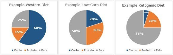Chế độ ăn kiêng Low Carb hoặc Keto có làm giảm hiệu suất tập luyện không ?