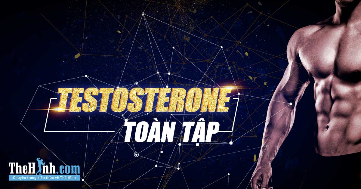 Testosterone toàn tập - Mọi thứ bạn cần biết về hormone giúp tăng cơ