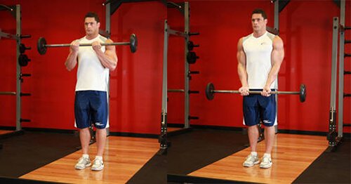 Close-Grip Standing Barbell Curl