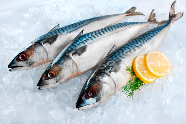 Tổng hợp các loại hải sản không chứa chất độc thuỷ ngân