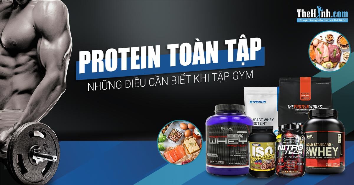 Protein toàn tập, mọi thứ về protein bạn cần biết khi tập gym