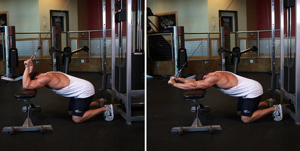 Kneeling Cable Triceps Extension