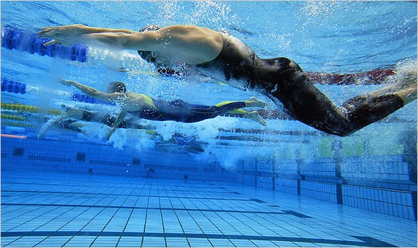 Hướng dẫn kỹ thuật bơi nhanh nhất: Đạp chân cá heo - Dolphin Kick