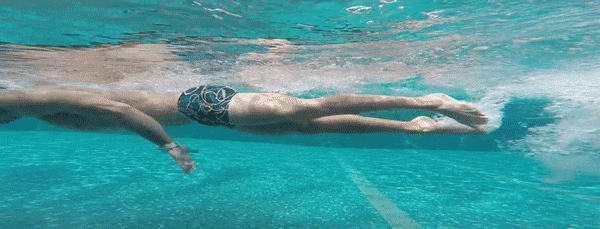 Hướng dẫn tự học bơi sải cho người mới bắt đầu