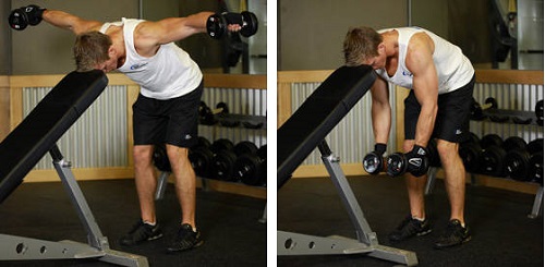 Bent Over Dumbbell Rear Delt Raise With Head On Bench