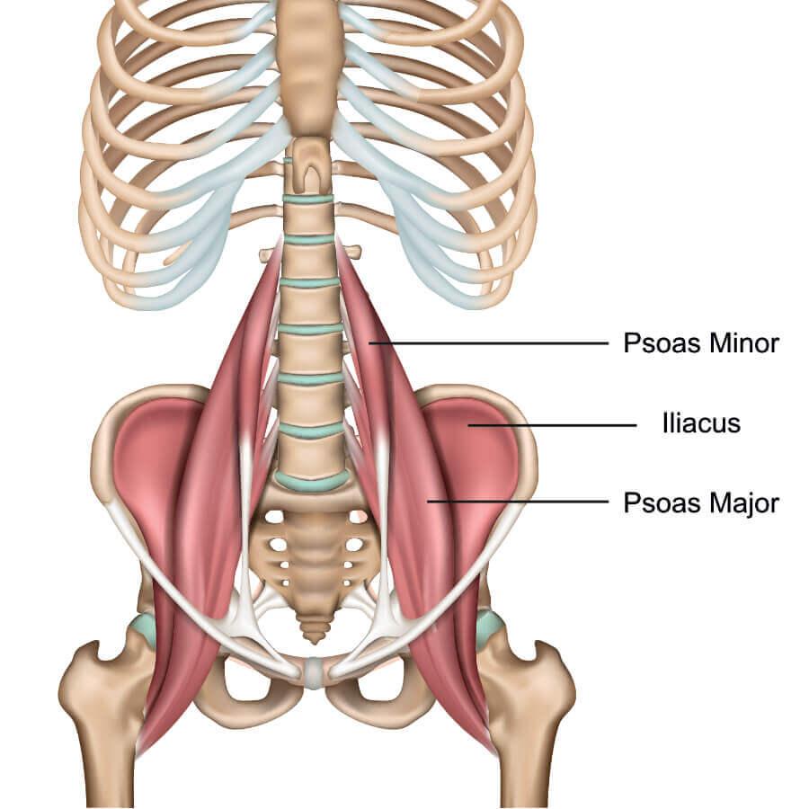 3 cách để giãn cơ Psoas, giúp giảm đau lưng do ngồi nhiều