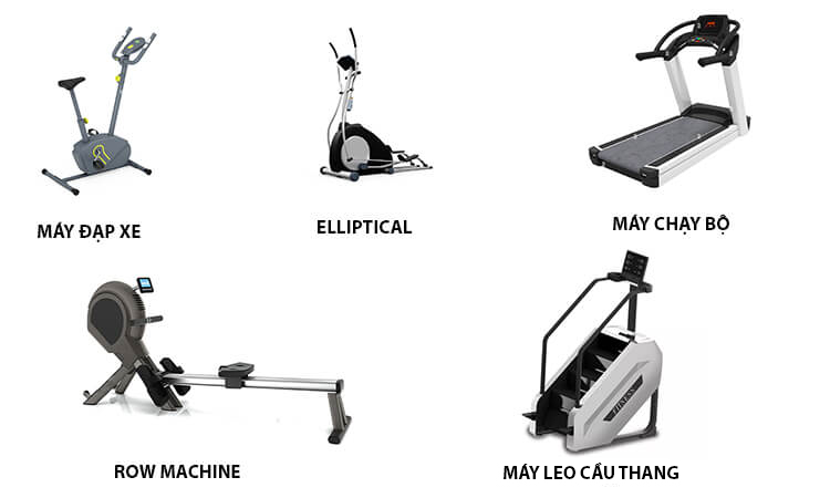 Các loại máy tập Cardio