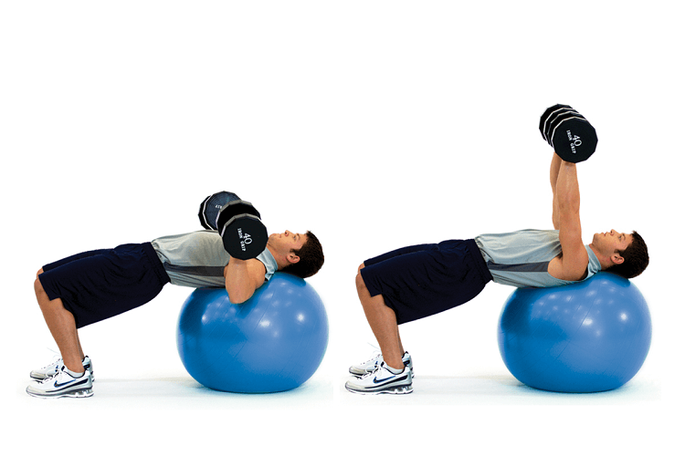 Bài tập Dumbbell Chest Press