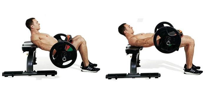 Hip Thrust
