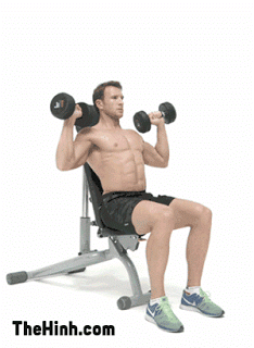 Seated Palms-In Dumbbell Press 
