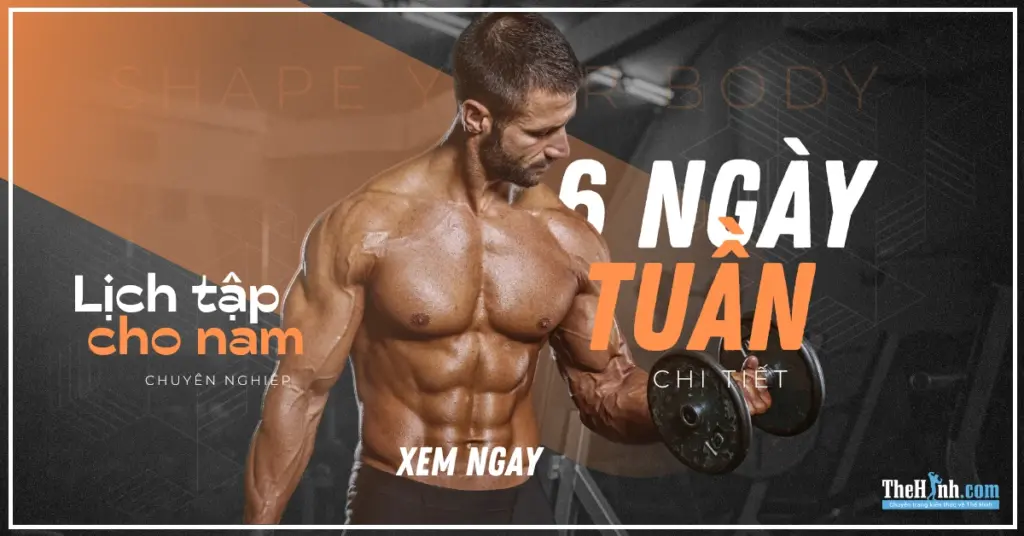 Lịch tập gym 6 ngày cho nam hướng dẫn đầy đủ (Phần 2)