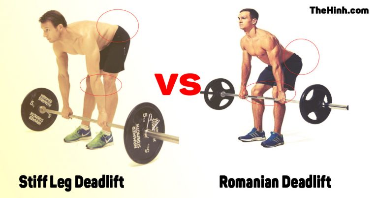 Romanian Deadlift và Stiff Leg Deadlift khác nhau chỗ nào ?
