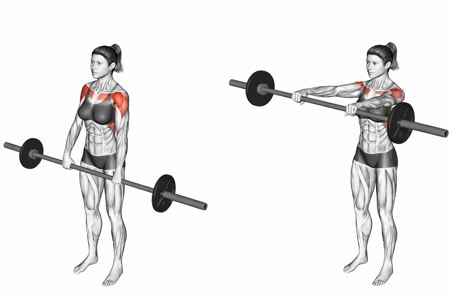 Barbell Front Raise 