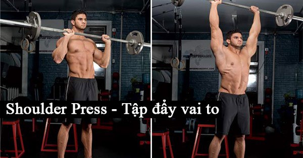 Shoulder Press – Đẩy tạ qua đầu tập vai to khỏe và vạm vỡ